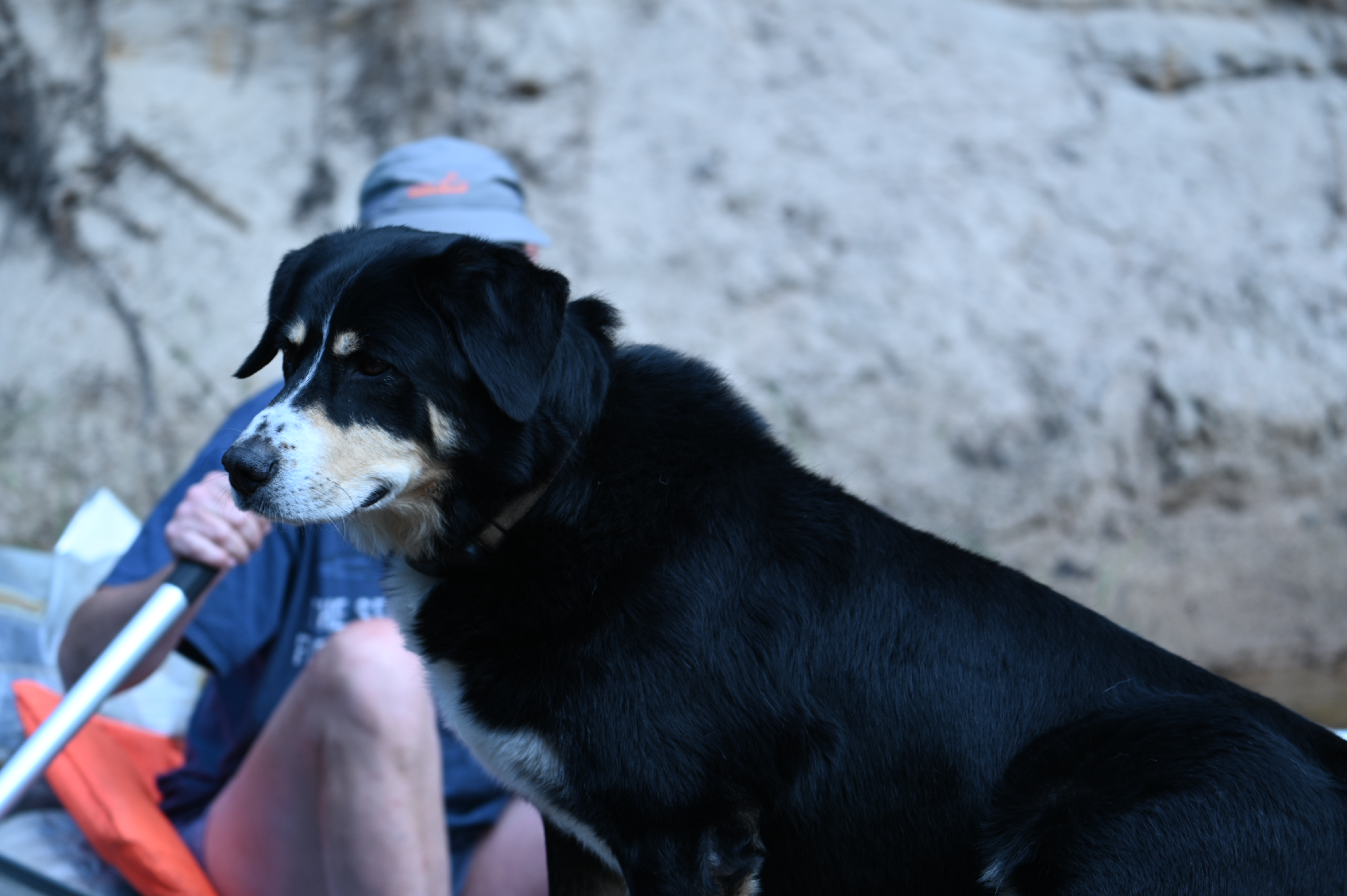 2025/07/09-14 - trip/DSC_0363.JPG